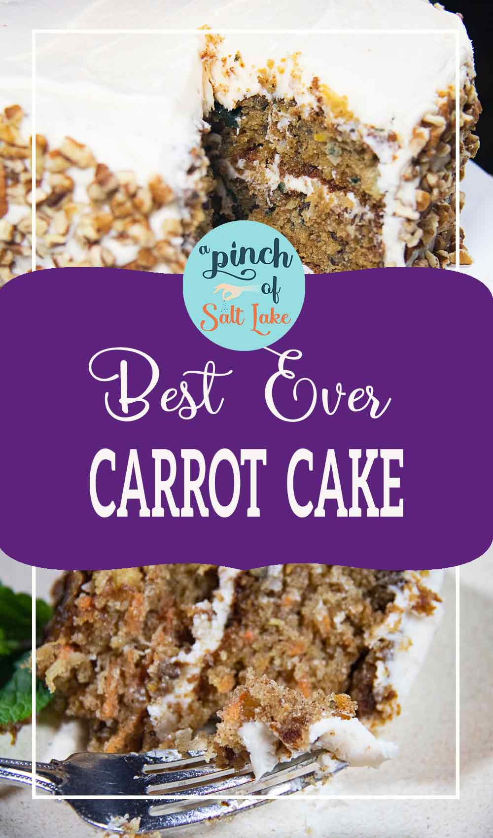 Best Ever Carrot Cake A Pinch Of Salt Lake