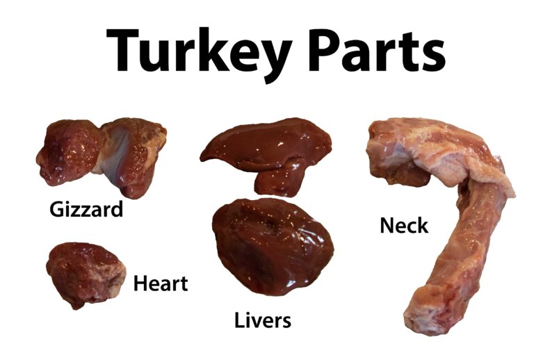 Turkey Primer A Pinch of Salt Lake