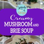 Creamy Mushroom and Brie Soup