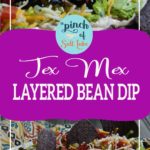 Tex Mex Layered Bean Dip