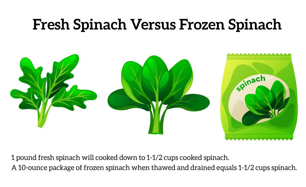 fresh spinach vs frozen spinach graphic