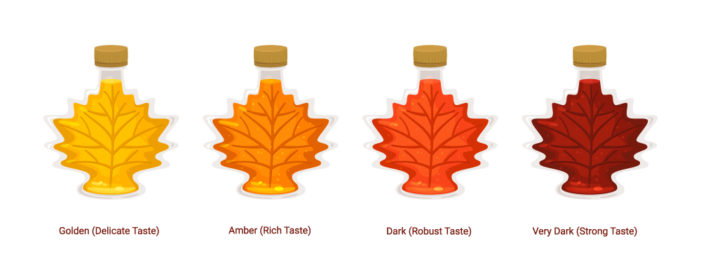 Maple Syrup Infographic