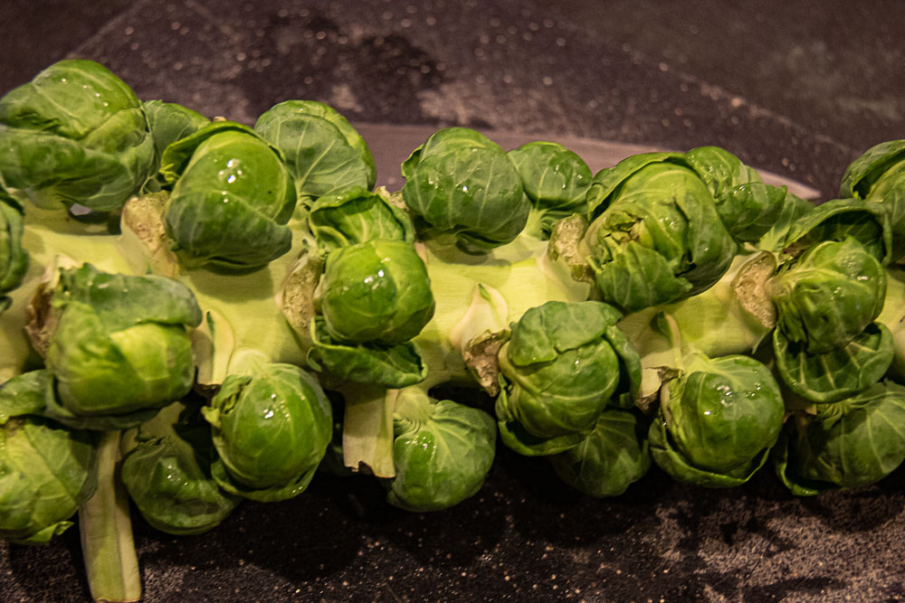 brussels sprouts on a stalk
