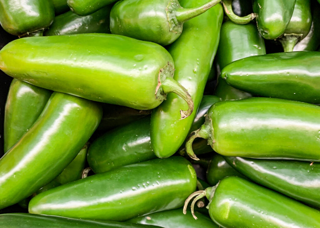 All about chile peppers-jalapeno peppers